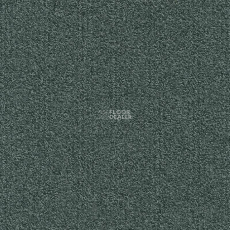 Modulyss Millennium Nxtgen Millennium Nxtgen 579 фото 1 | FLOORDEALER